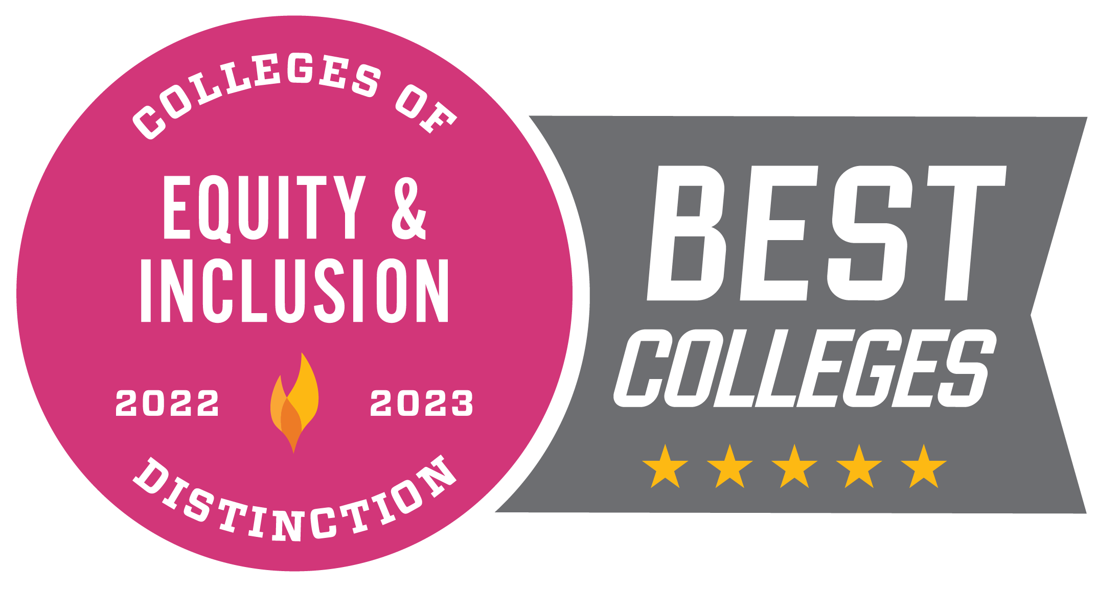 Equity and Inclusion Colleges of Distinction badge