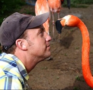 Professor and flamingo