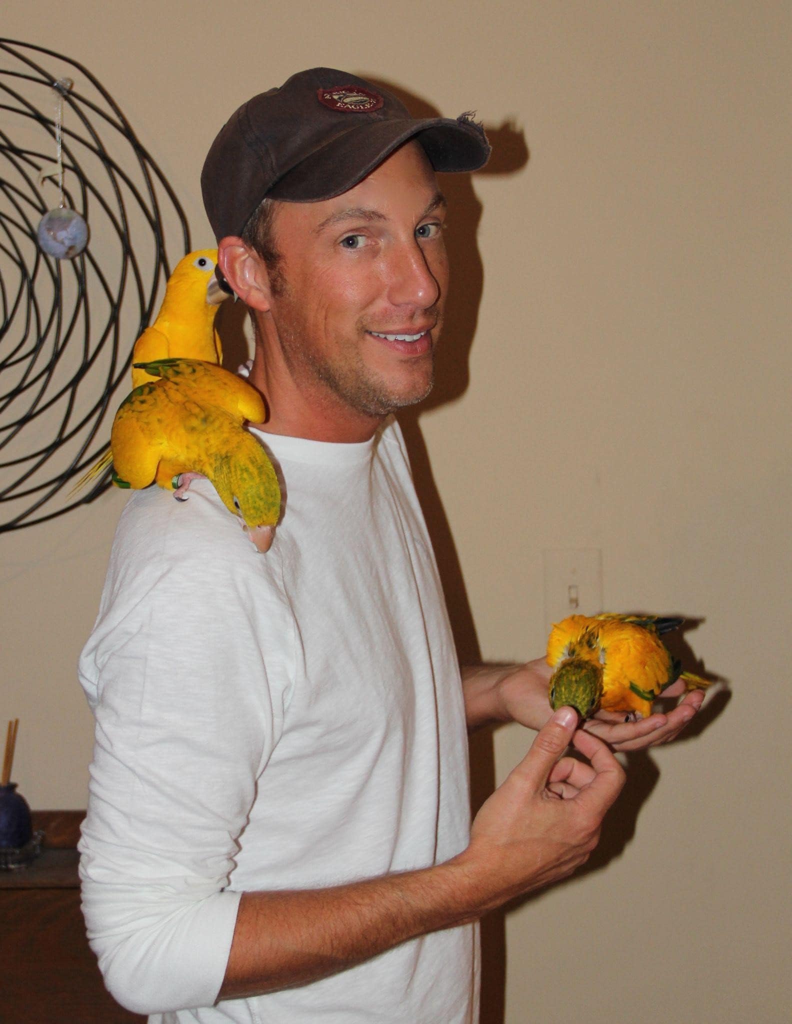 Professor with several yellow birds
