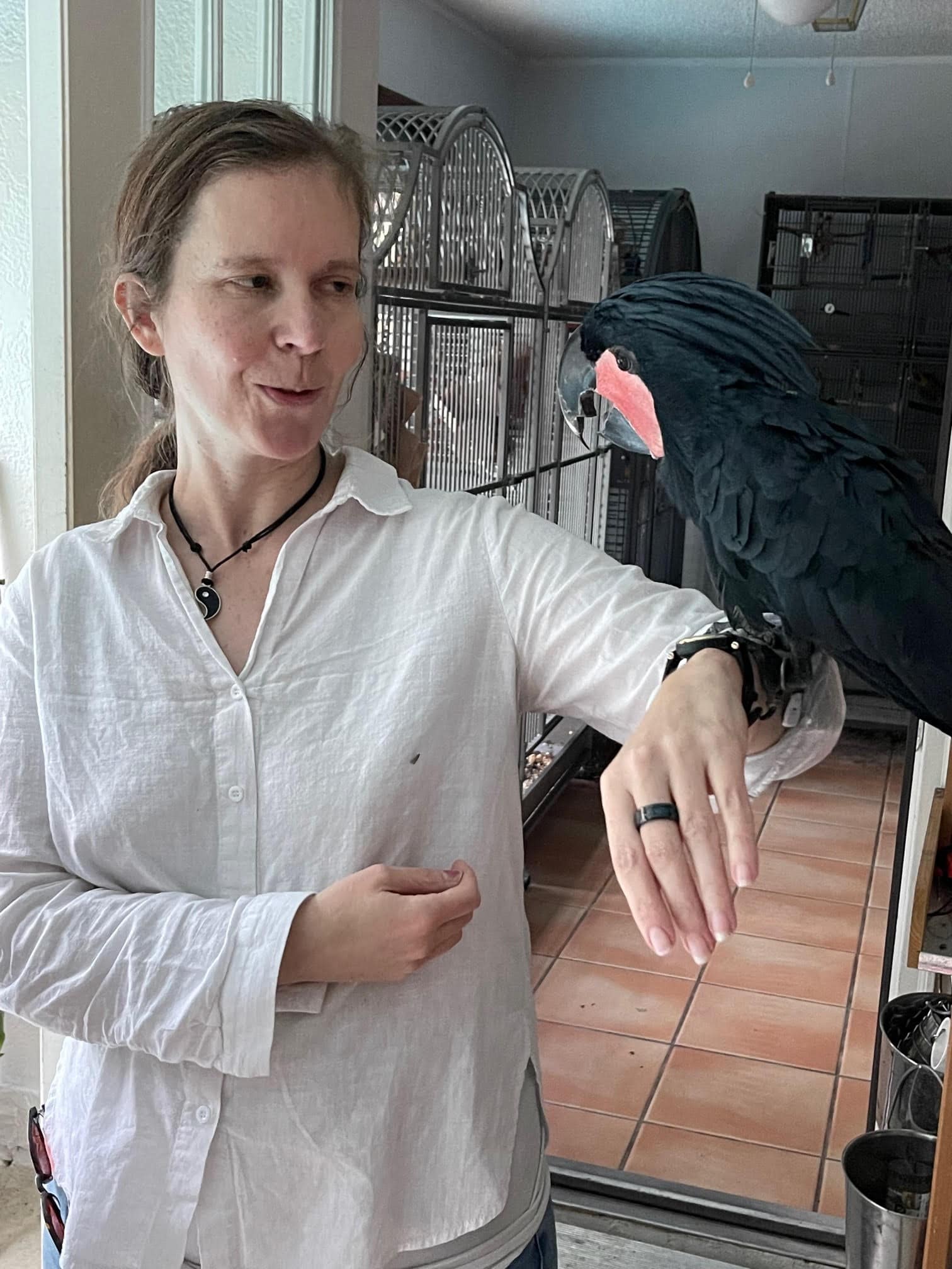 Professor with bird perched on arm