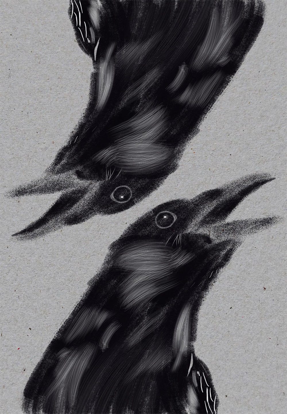 Illustration of two black birds cawing with the focus on their eyes