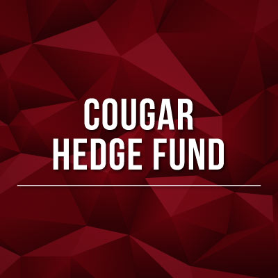 GSM Hedge Fund