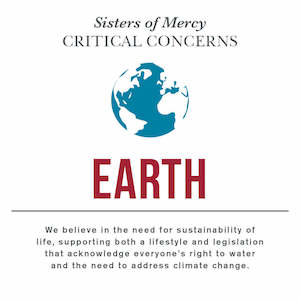 Sisters of Mercy Critical Concern with Earth and a quote underneath