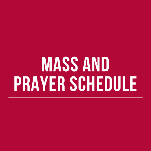 Mass and Prayer Schedule 