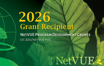 NetVUE