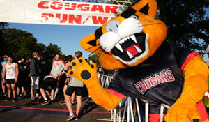 Champ the Cougar at the Cougar 5K