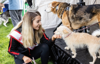 https://www.sxu.edu/news/articles/2020/2020-miss-illinois-dogs.png